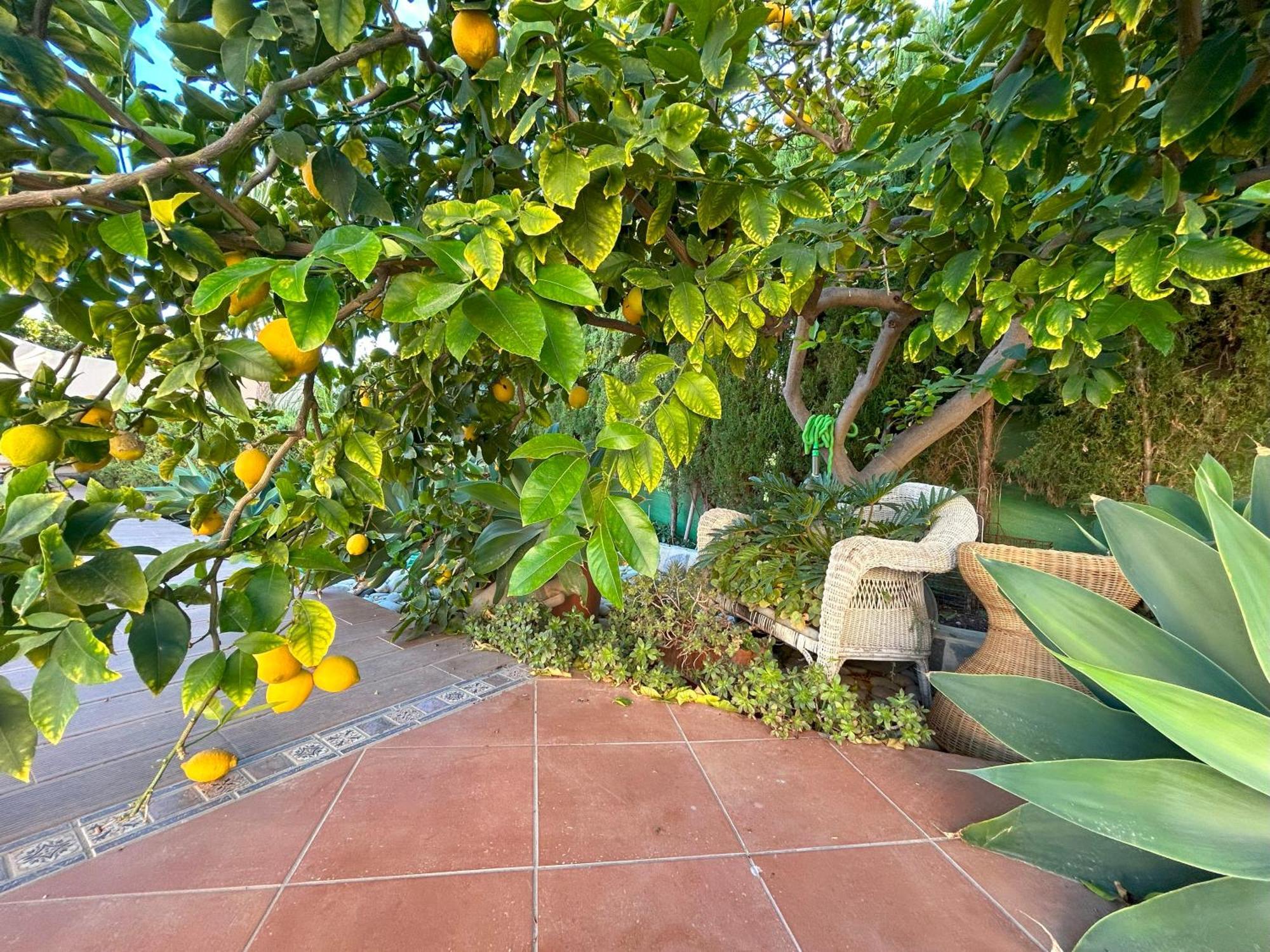 Casa Luna Llena Кальпе Экстерьер фото